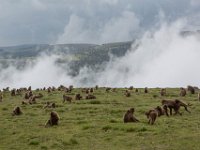 Ethiopia-51