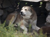 Georgia2011-23