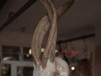 Georgia2011-7