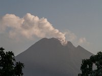 100 7938