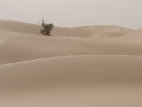 IMG 7413