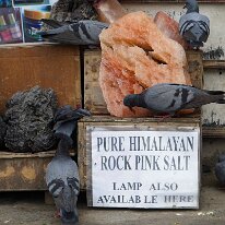 Nepal_0007