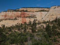 100 5104  Zion