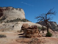 100 5113  Zion