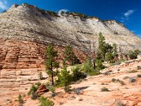 100 5115  Zion