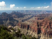 100 5184  Grand Canyon North Rim
