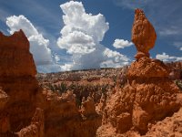 100 5651  Bryce