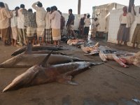 Yemen2009-102