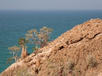 Yemen2009-45