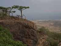 Yemen2009-53
