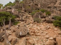 Yemen2009-55